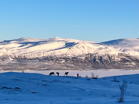 Outback Abisko-阿比斯库必去景点