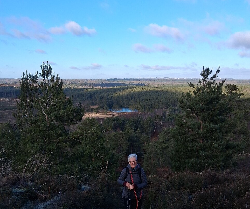 Frensham Little Pond-Frensham必去景点
