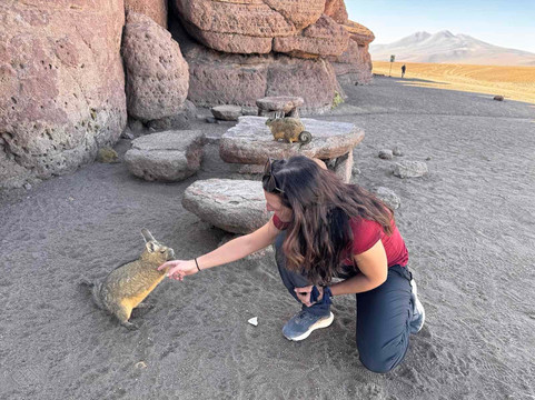 WONDER TOURS, LA PAZ-拉巴斯必去景点