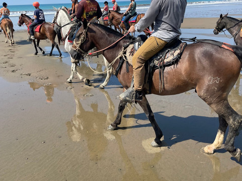 Rancho La Merced National Wildlife Refuge-乌维塔必去景点