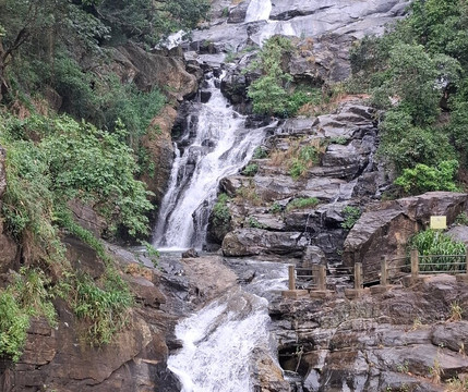 Ceylon Tours with Shiran-尼甘布必去景点