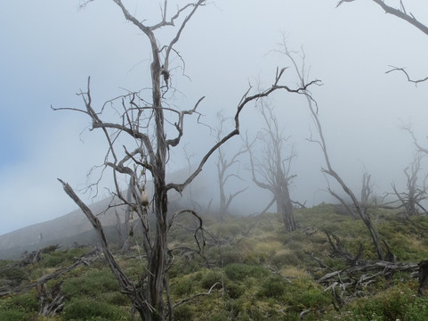 Hacienda La Central-图里亚尔瓦必去景点