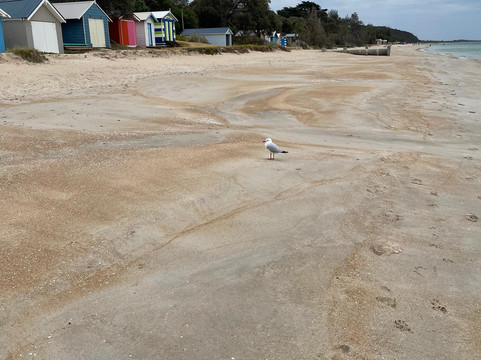 Dromana Beach-Dromana必去景点