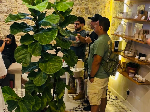 Geisha Terroir Specialty Coffe Shop