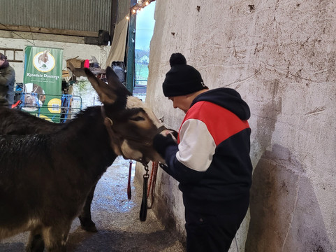 Kinedale Donkeys-Ballynahinch必去景点