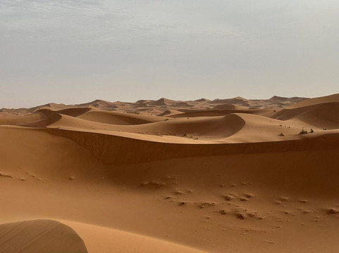 Viaggioneldeserto-扎古拉必去景点