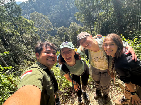 Trekking Orangutan Sumatra-武吉拉旺必去景点