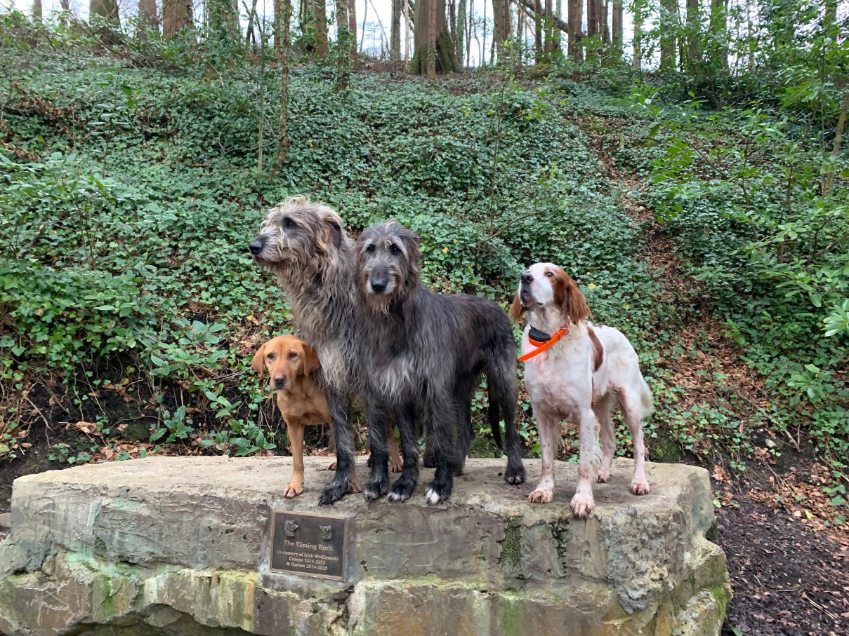 阿什福德城堡别墅-官方