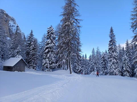 Hotel Edelweiss主图