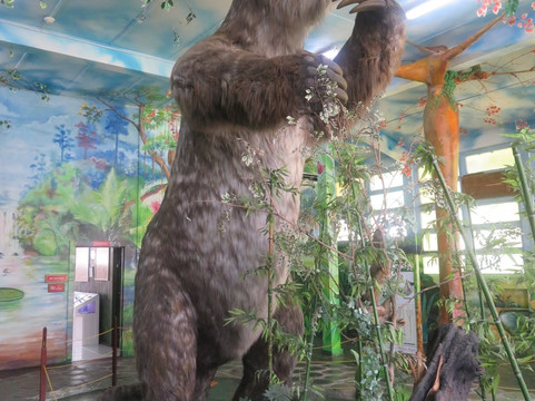 Guyana National Museum-乔治城必去景点