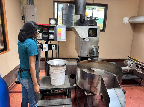 Café Monteverde Coffee Tour-圣埃伦娜必去景点