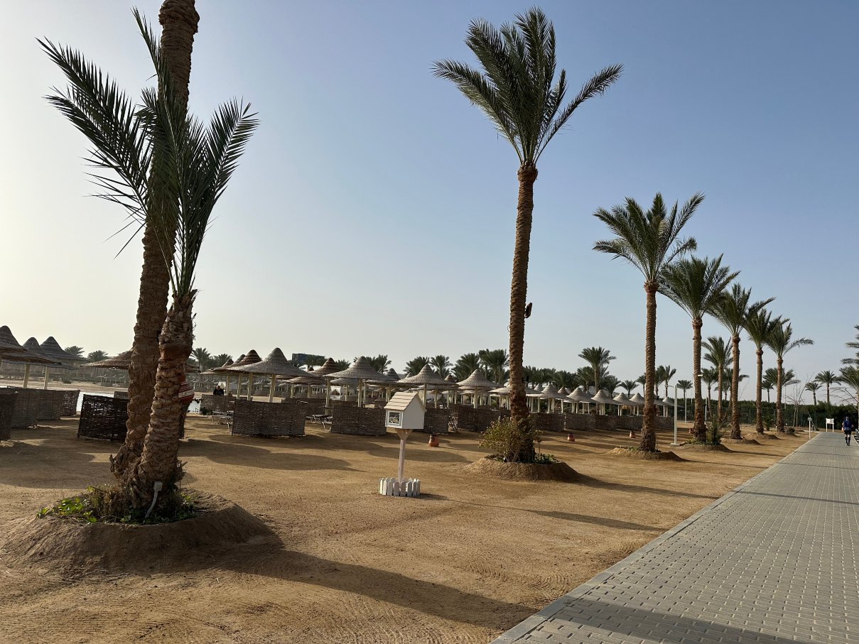 马萨阿拉姆科拉亚施柏阁海滩酒店-泳池