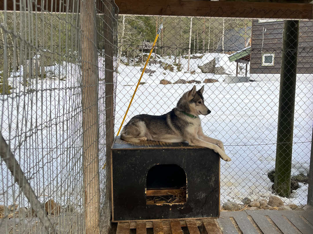 Sirdal Husky Farm-Tonstad必去景点