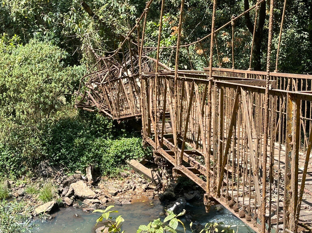 Abbey Falls-马蒂科里必去景点
