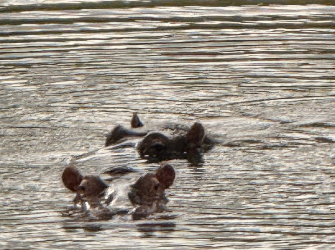 African Travel Consultants-Sabie Park必去景点