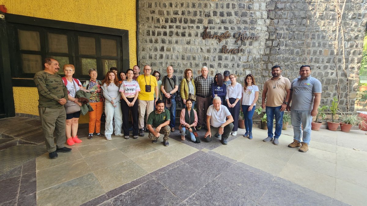 丛林遗迹迎宾度假村-官方