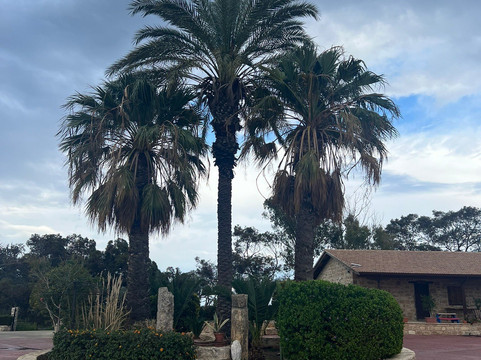 St. Nicholas of the Cats-Akrotiri必去景点