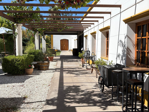 Bodega Alfredo Roca-圣拉斐尔必去景点