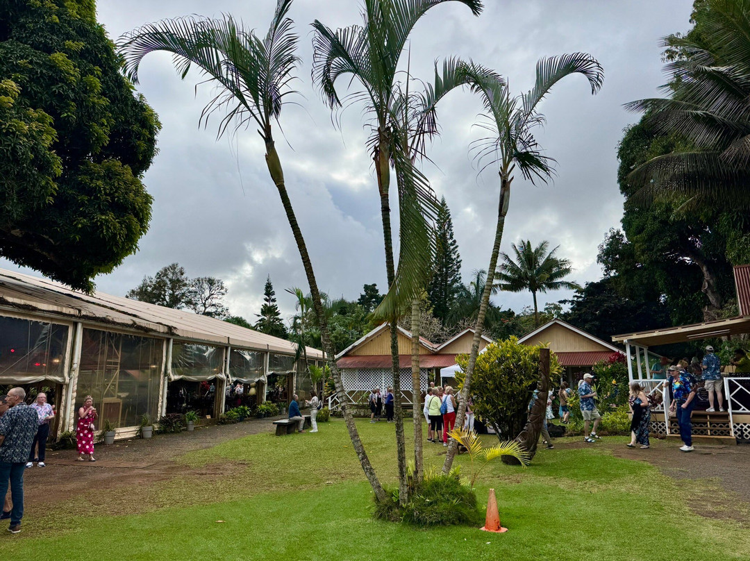 Luau Kalamaku Kauai-利胡埃必去景点