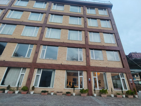 西姆拉兰花酒店主图