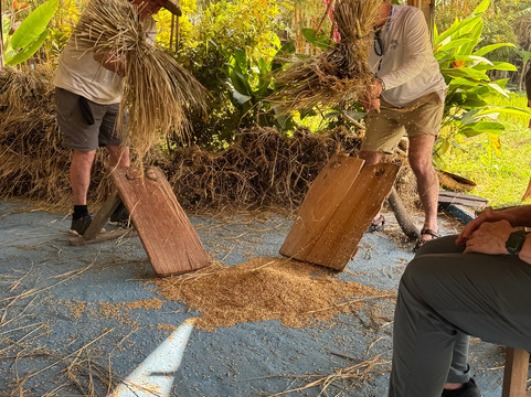 Living Land农场体验之旅-琅勃拉邦必去景点