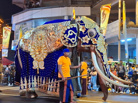 Aaryan Cars-科伦坡必去景点