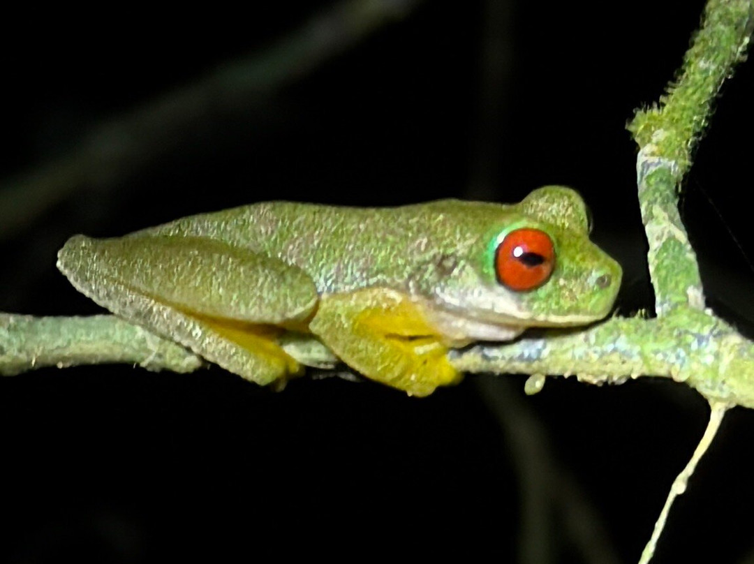 Finca Modelo Ecologica-蒙特沃德必去景点