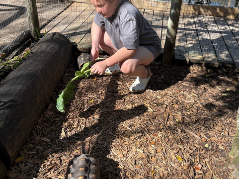 Croc Encounters-坦帕必去景点