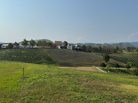 Choui Fong Tea-Pa Sang必去景点