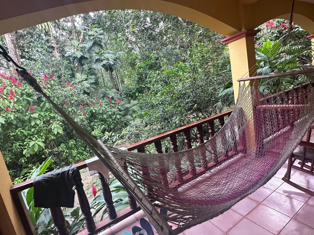 Uvita Paradise Adventures ( Zip Line)-乌维塔必去景点