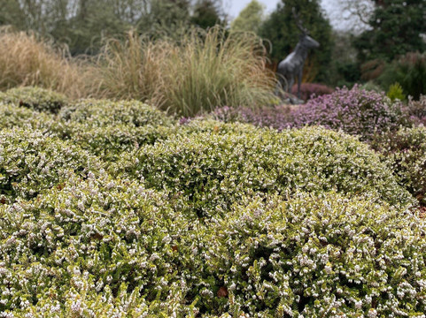松月园-圣奥斯特尔必去景点