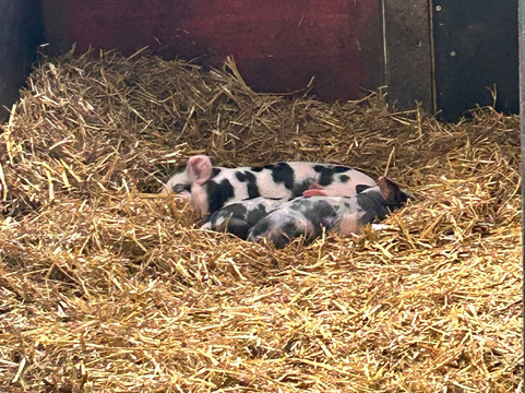 Hatton Country World-Hatton必去景点