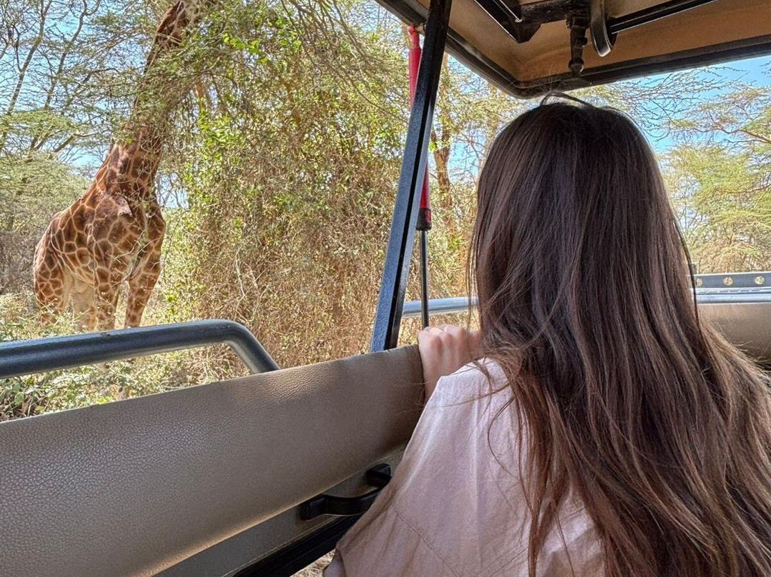 nomade SAFARI-蒙巴萨必去景点