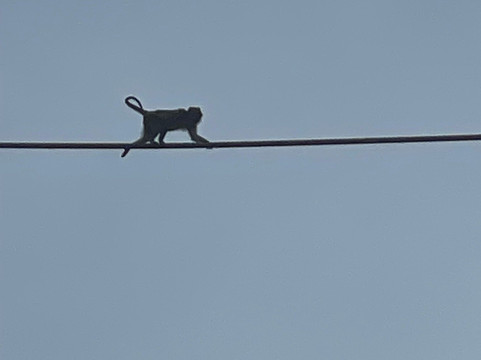 Borneo Beyond Adventure-亚庇必去景点