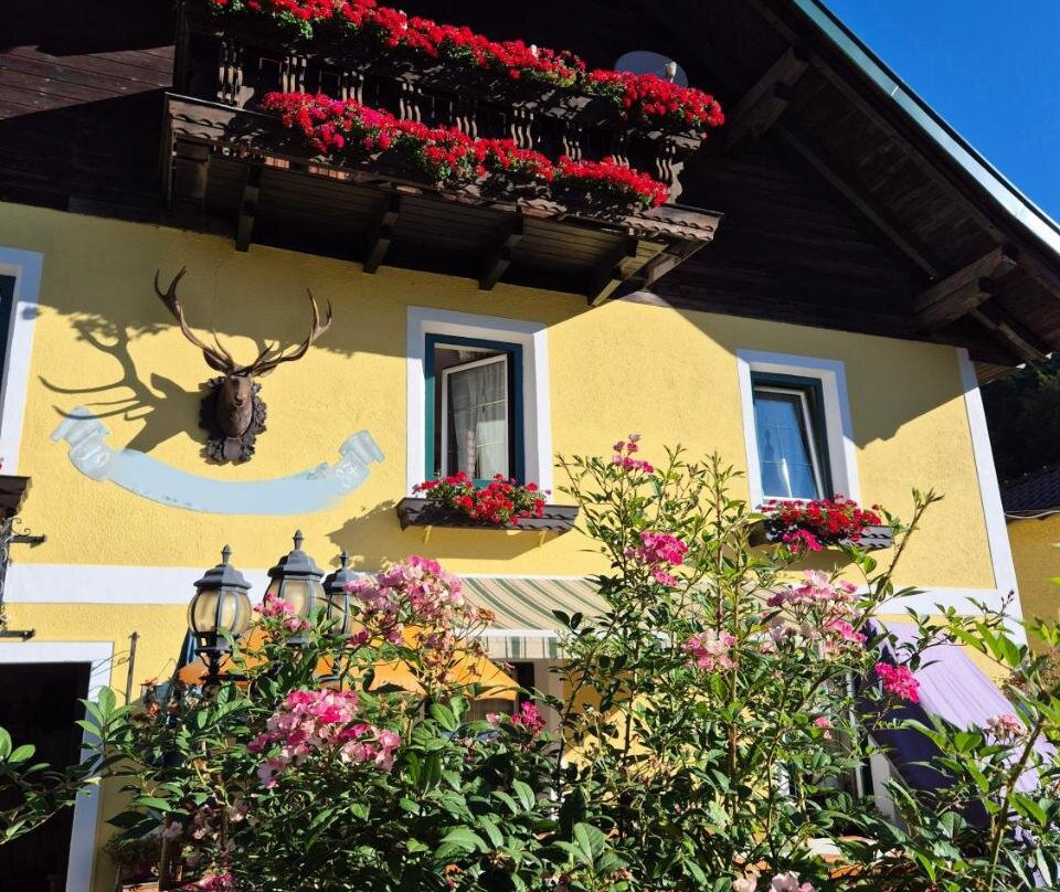 Pension Landhaus Ingrid B&B