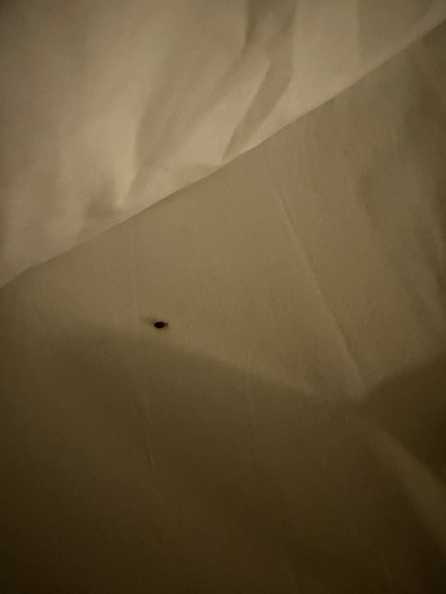 斯泰茨伯勒希尔顿惠庭酒店-官方