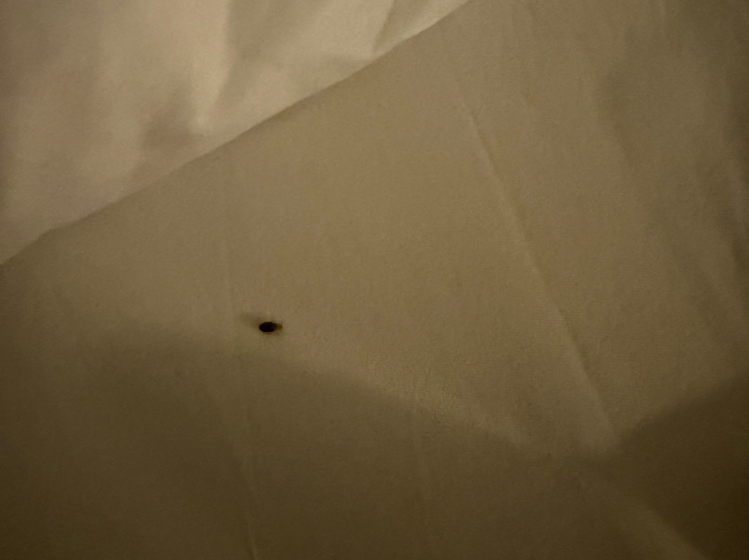 斯泰茨伯勒希尔顿惠庭酒店主图