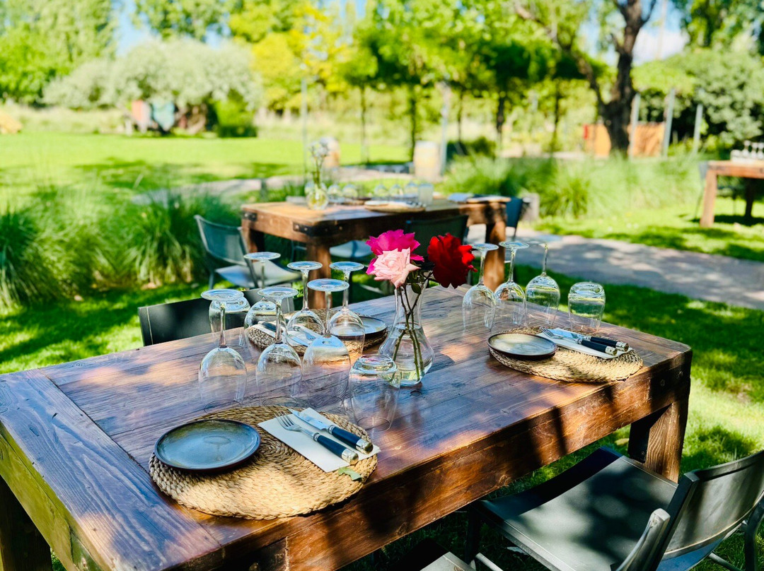 Finca La Anita-阿格雷洛必去景点