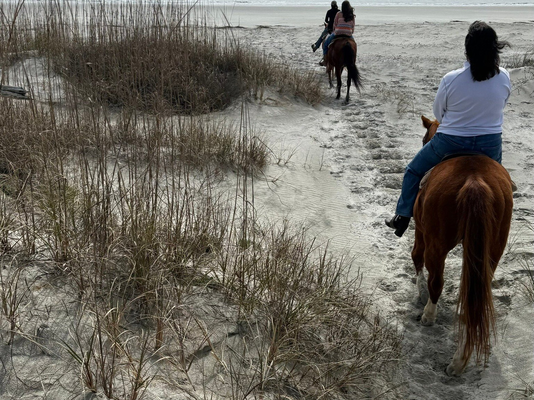 The Stables at Frederica,-圣西蒙斯岛必去景点