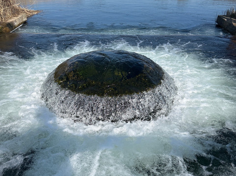 Duinreservaat Castricum-Castricum必去景点