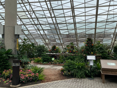 Foellinger-Freimann Botanical Conservatory-韦恩堡必去景点