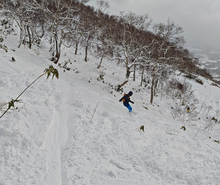 Hanazono Powder Guides-俱知安町必去景点