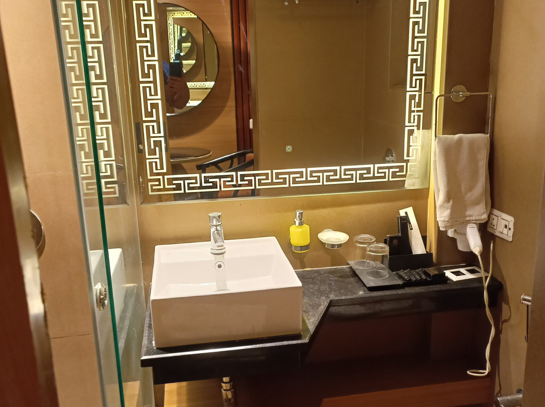 Vatika Premier Hotel主图