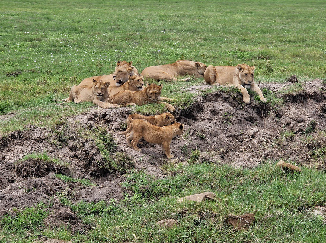Tanzania-Experience-阿鲁沙必去景点