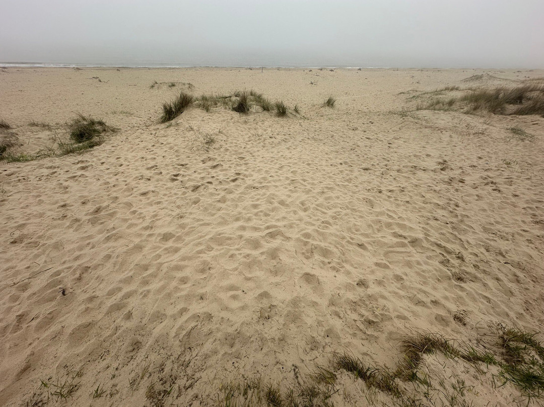 Caister-on-Sea Beach-Caister-on-Sea必去景点