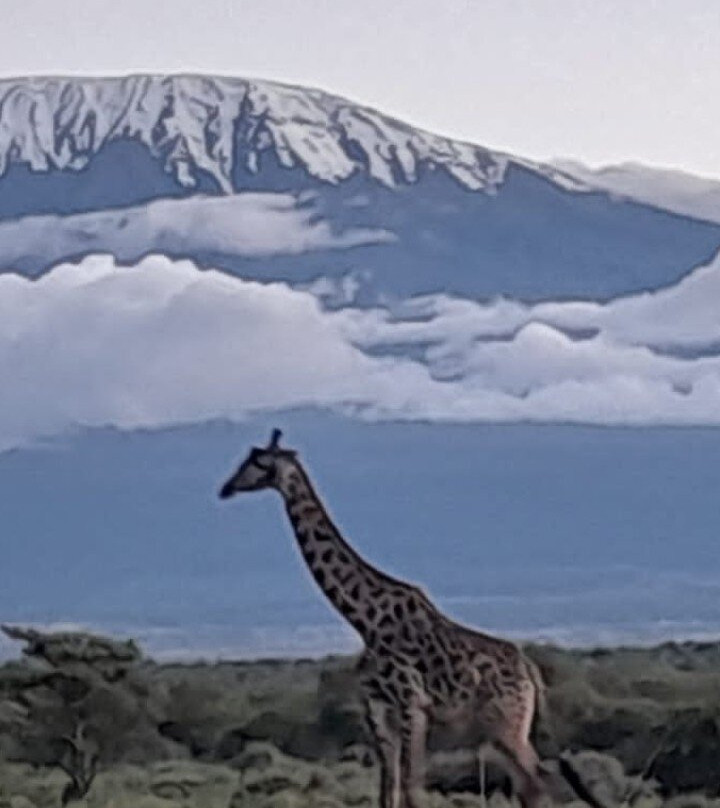 Nature Insight Safaris-内罗毕必去景点