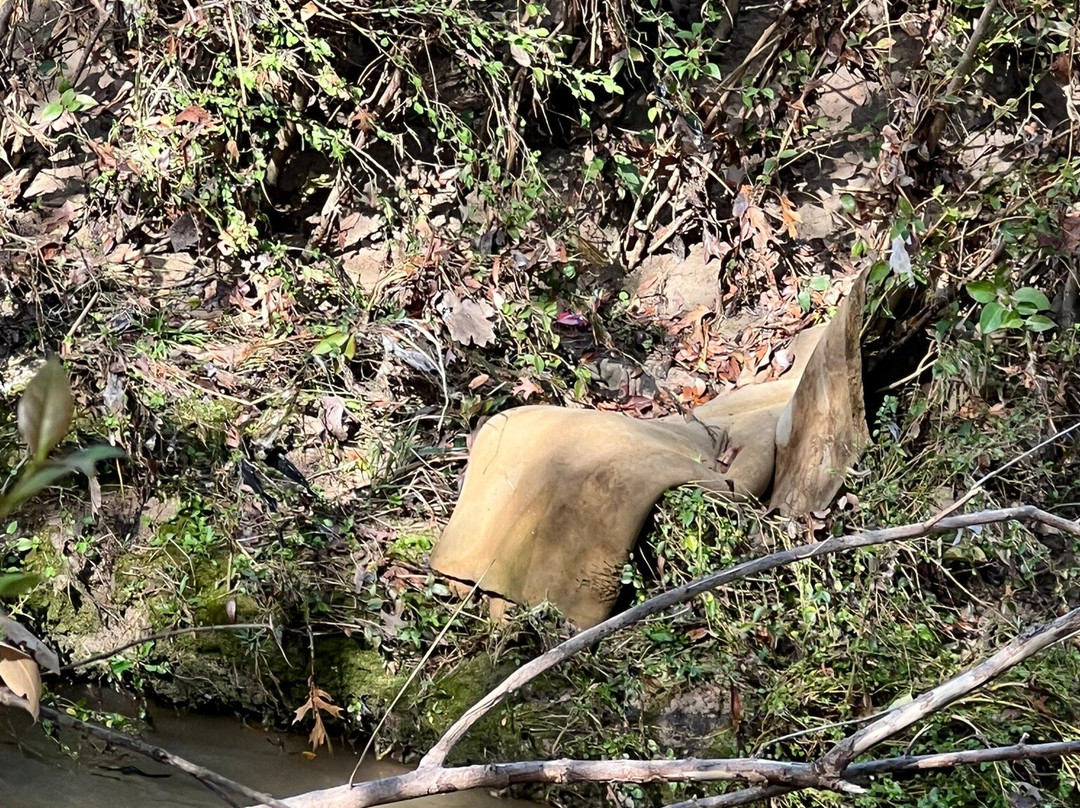 Airfield Falls Trailhead & Conservation Park-沃思堡必去景点