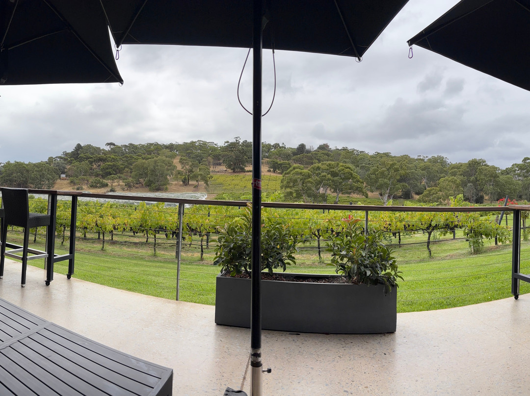 Angove McLaren Vale Cellar Door-麦克拉伦谷必去景点