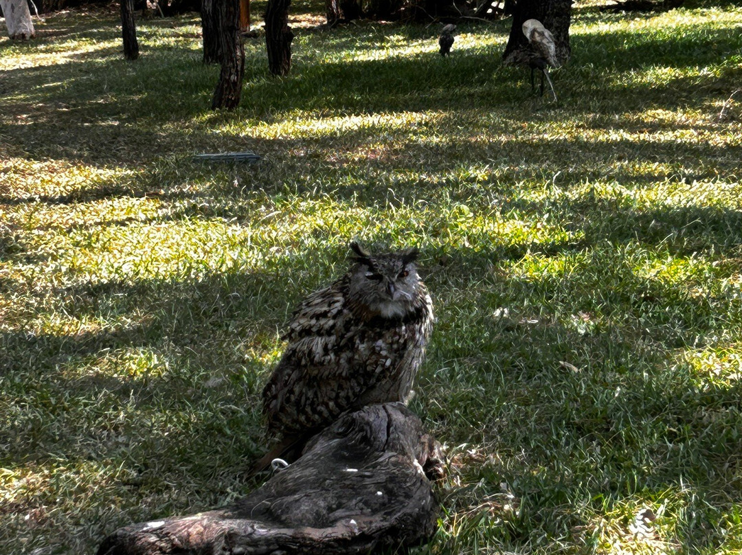 Zoo Parc De La Réunion-Etang Sale Les Bains必去景点