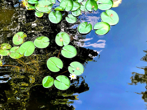 Schloss Mirow-Mirow必去景点